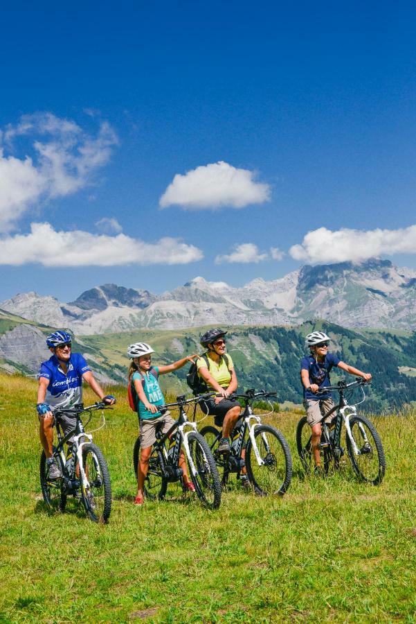 Chalet Clos Moccand Samoëns Dış mekan fotoğraf
