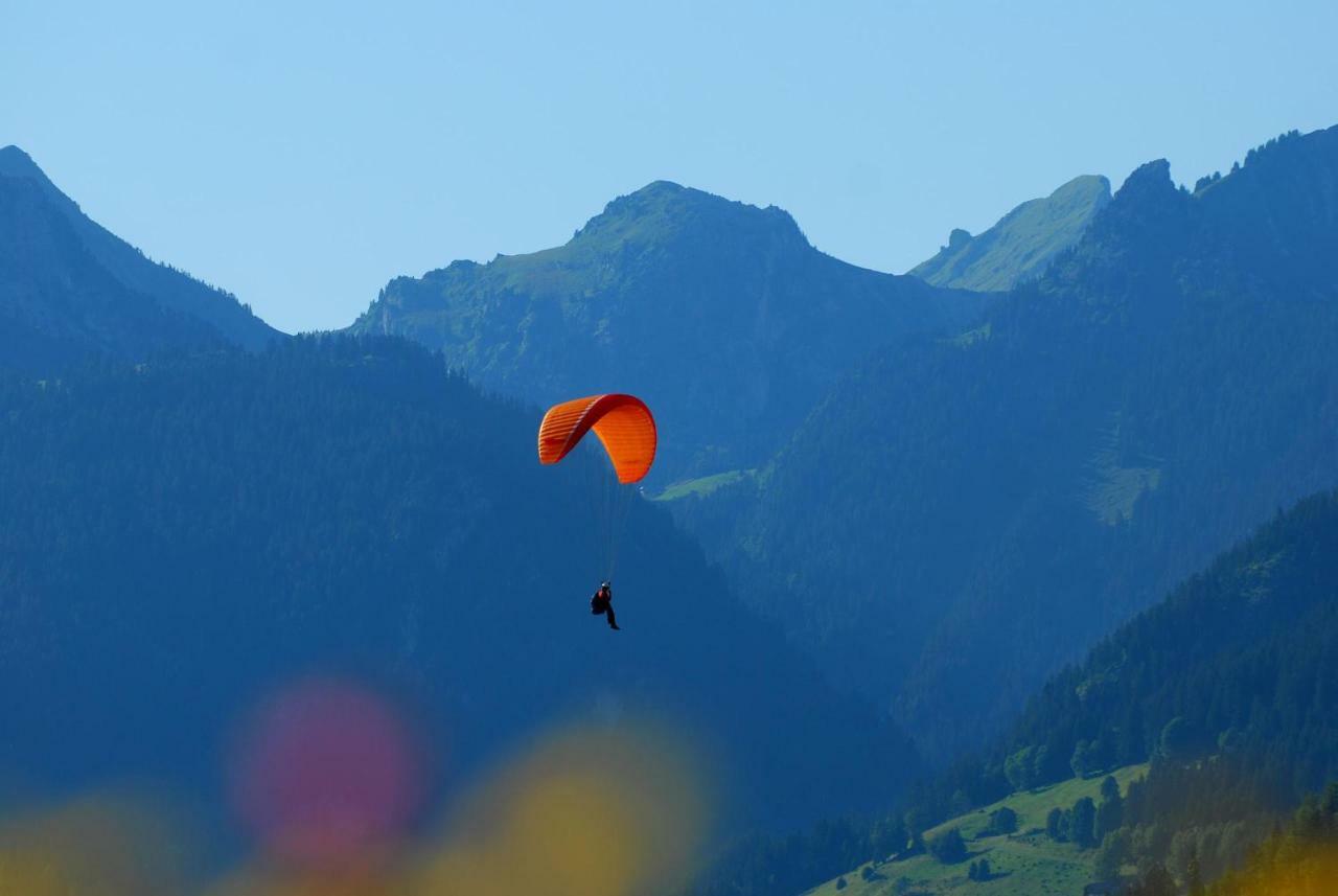 Chalet Clos Moccand Samoëns Dış mekan fotoğraf